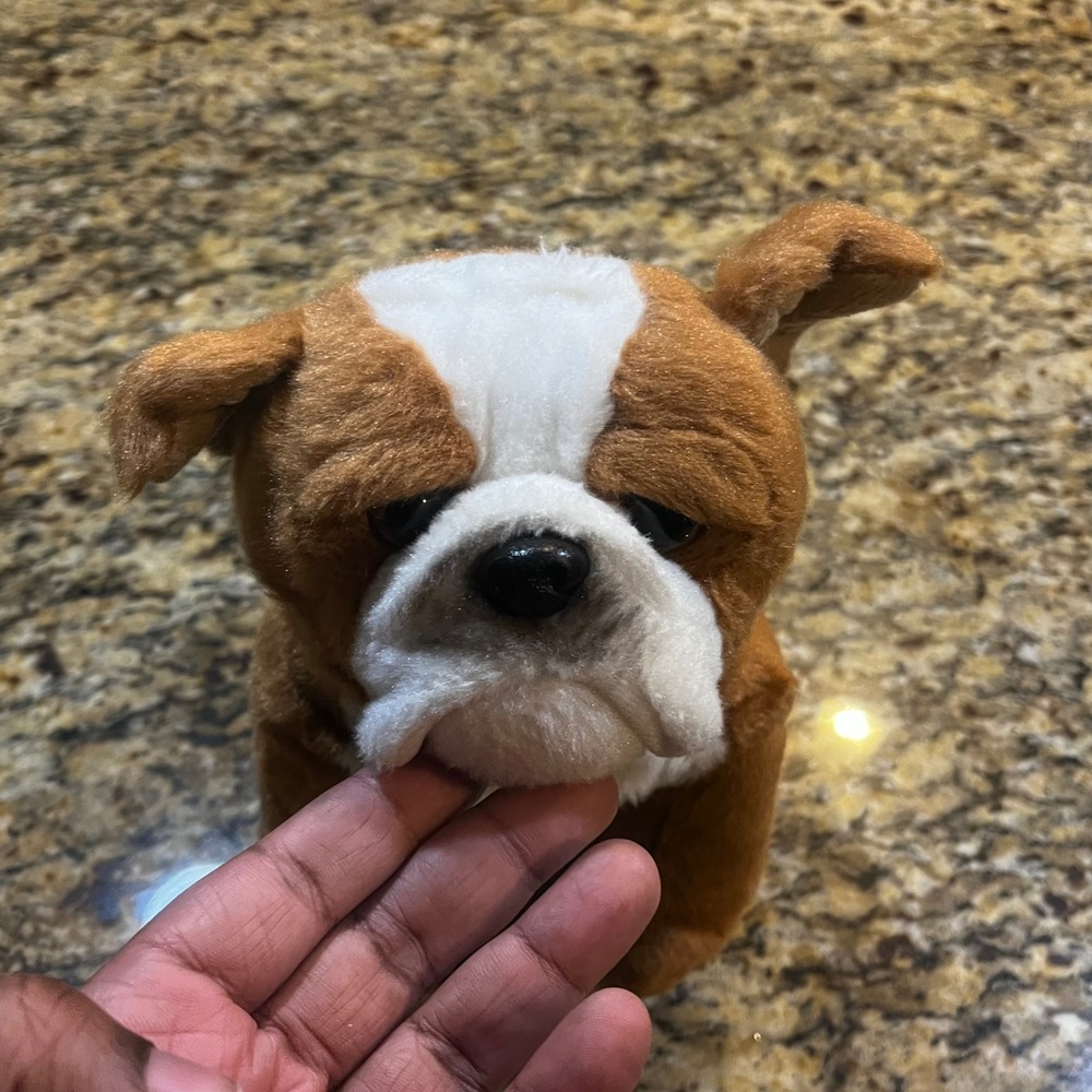 Animal Alley Toys R Us Brown White Bulldog Plush Stuffed‎ Animal 2017 11"